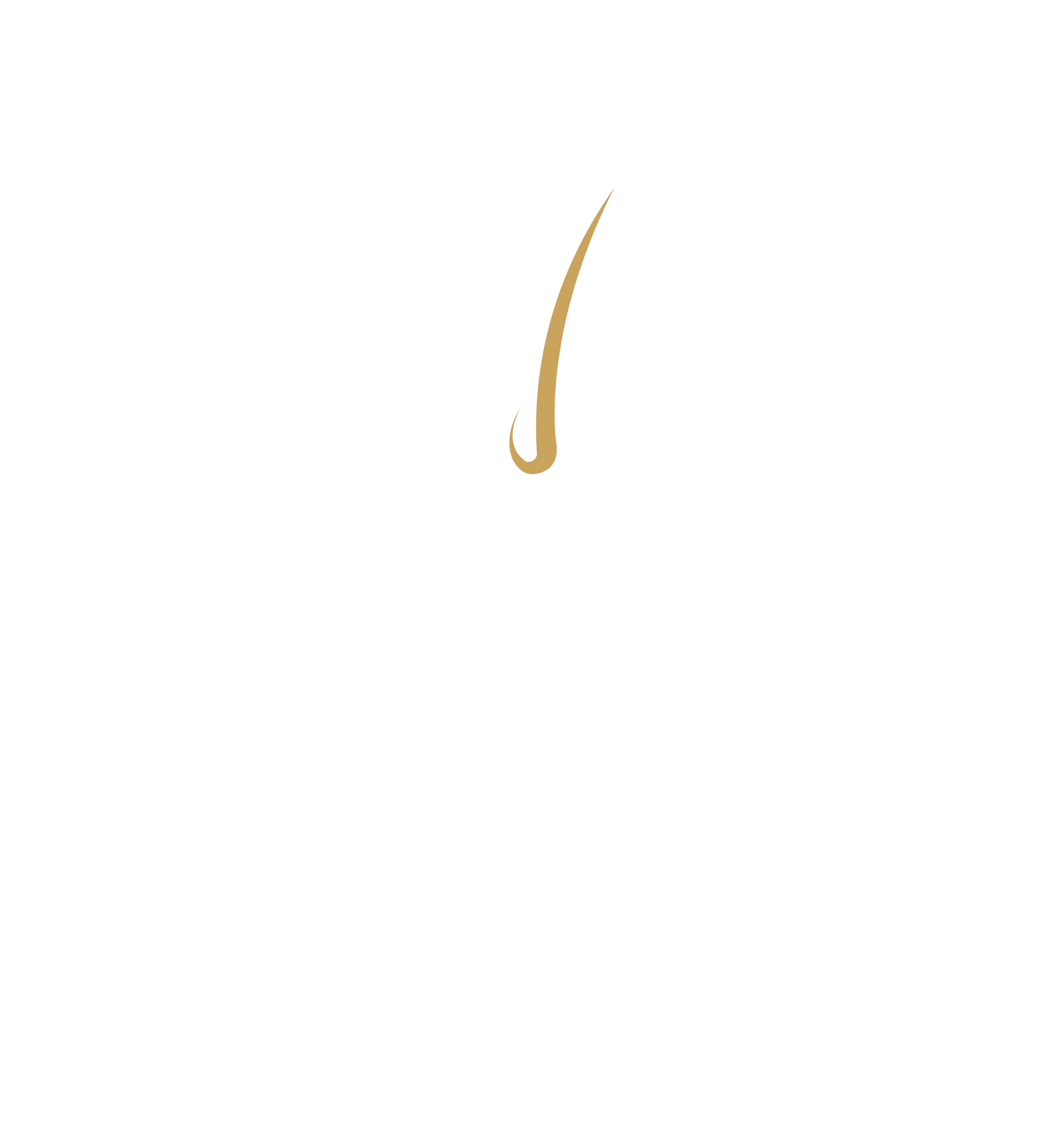 Norm Aesthetics vertikales Logo